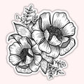 Transparent Floral